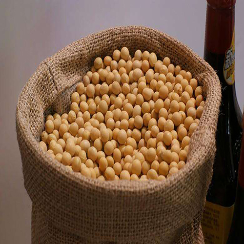 Soybean