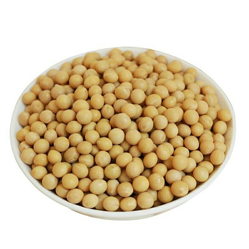 Soybean